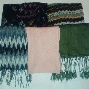 Lot of 5 Scarves - Max Azria & New York & Company
